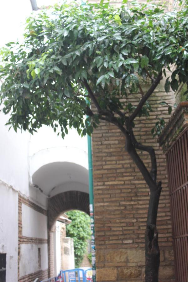 Loft Turistico En Casco Historico, Wifi Y Tv Satelite Gratis Apartament