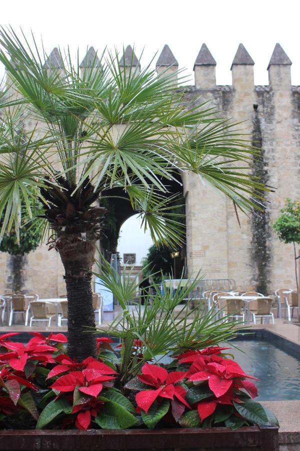 Apartament Loft Turistico En Casco Historico, Wifi Y Tv Satelite Gratis *